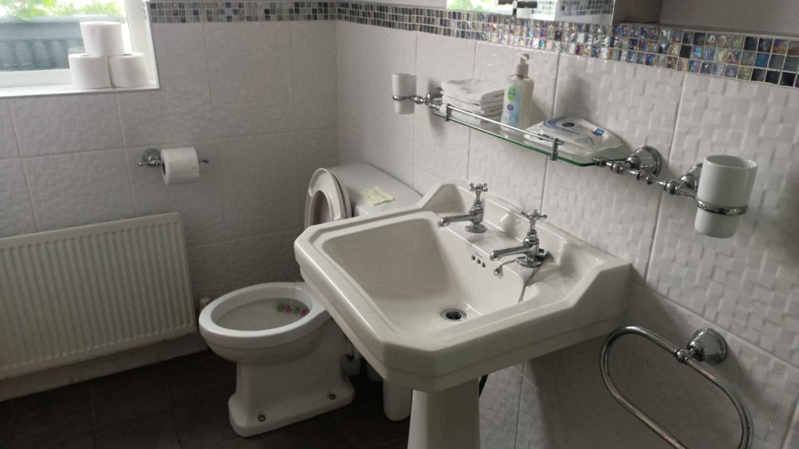 Mount Royal Victorian Self Catering Appartement Belfast